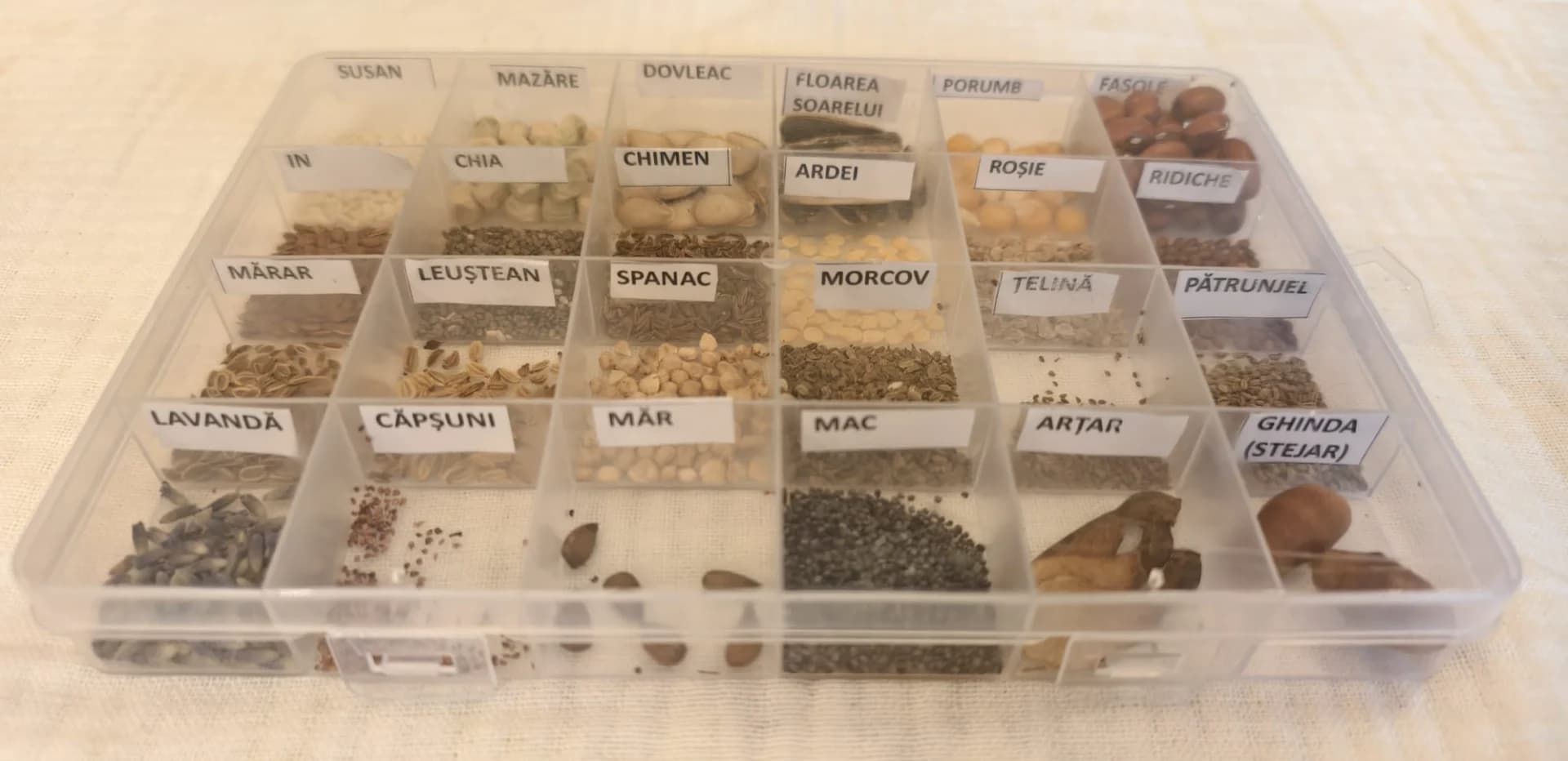 Vând semintar- material didactic