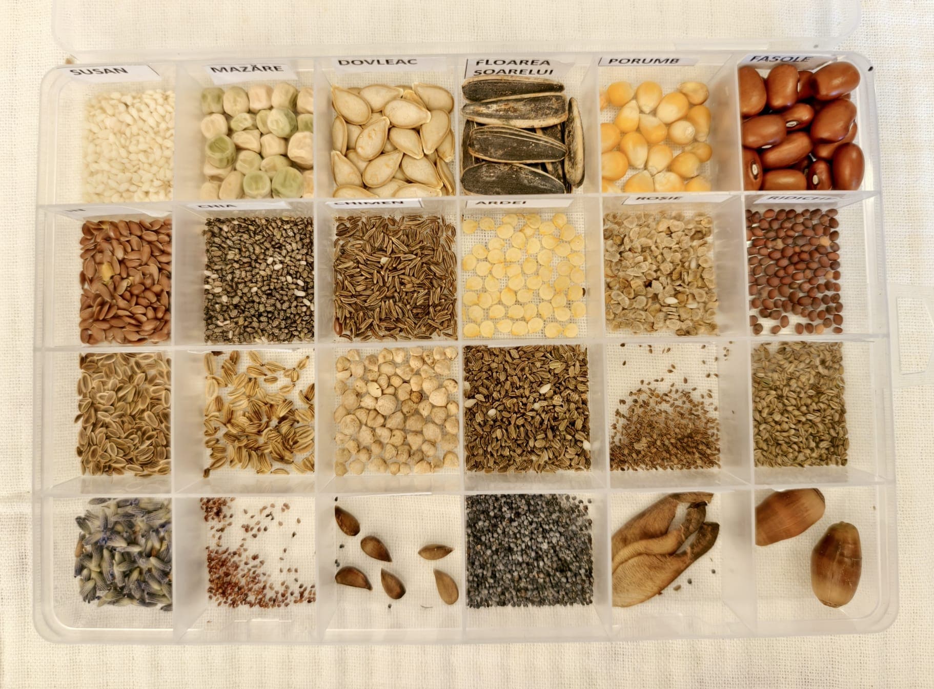 Vând semintar- material didactic