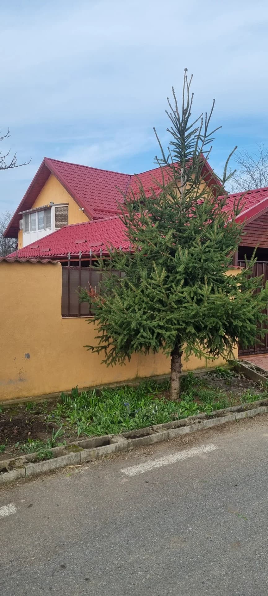 Casa de vinzare – fotografia 7 din 8
