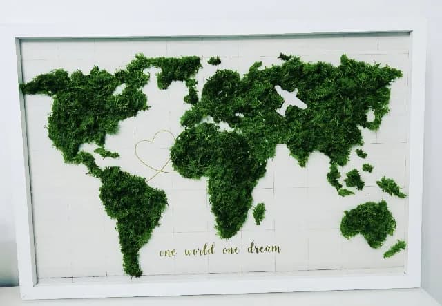 Harta lumii decorata cu licheni naturali