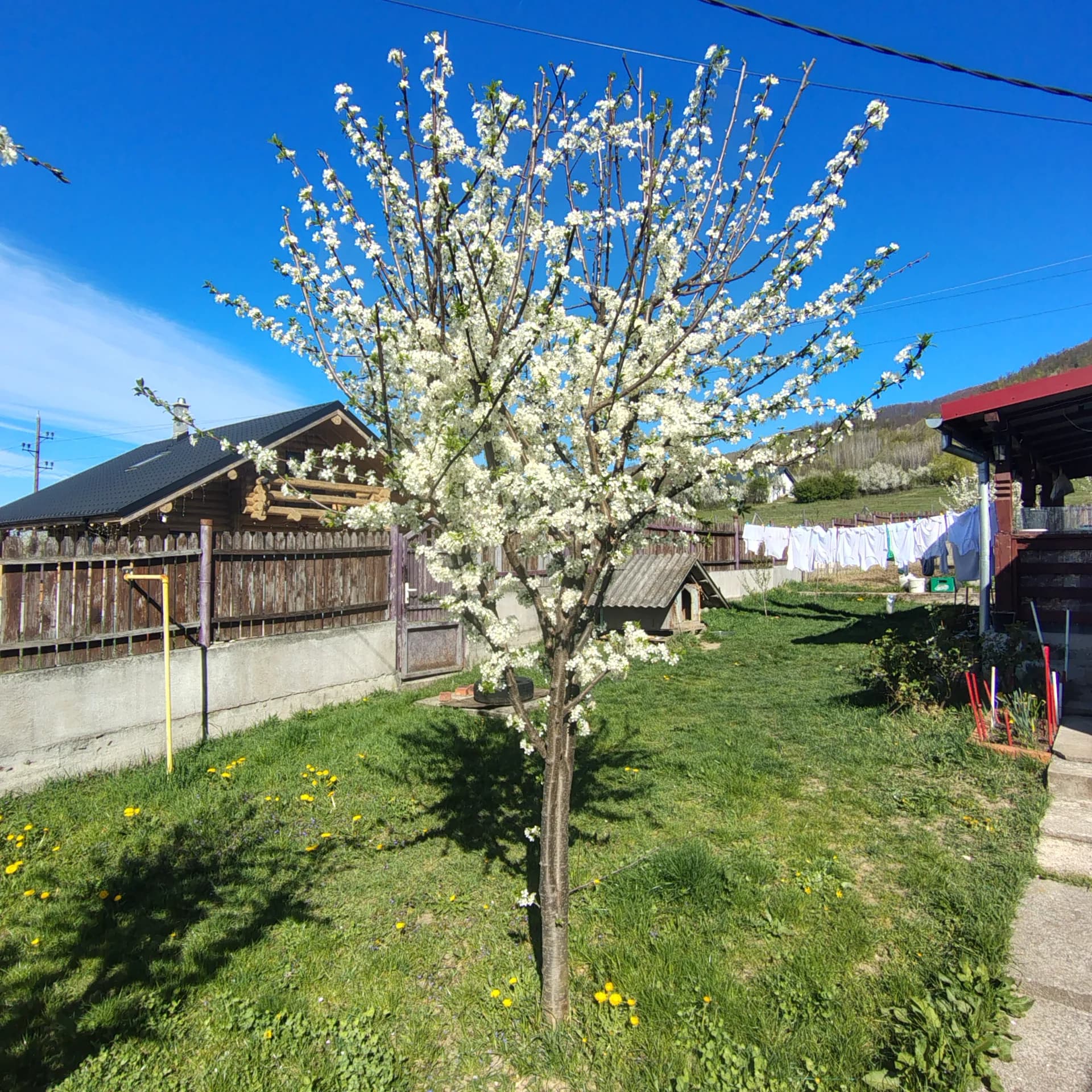Casa de vanzare – fotografia 4 din 8