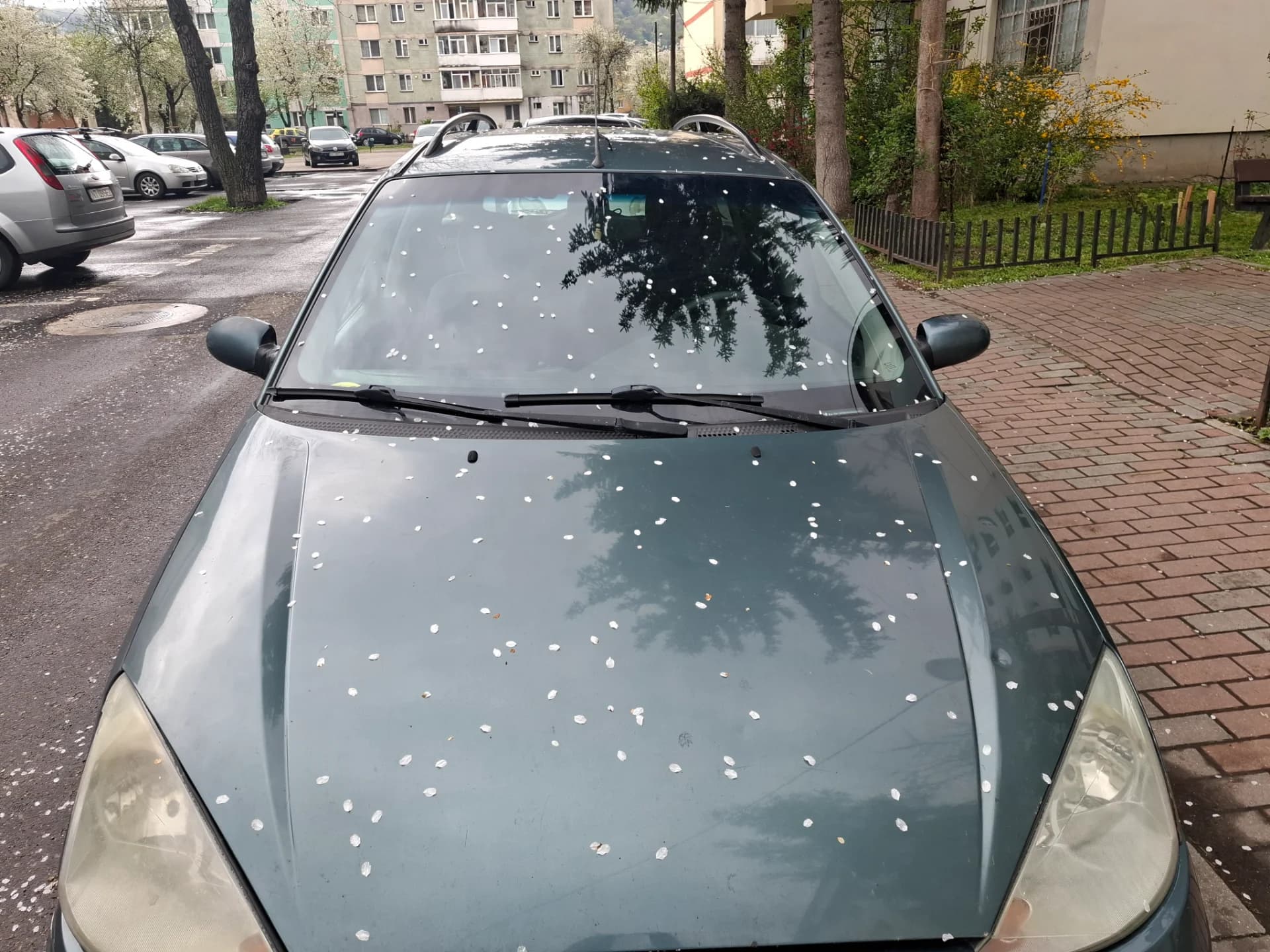0756798826 – Piatra-Neamt, Neamț – Mașini