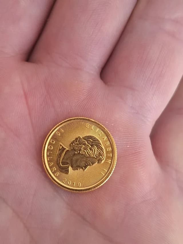 Moneda 24k 8gr