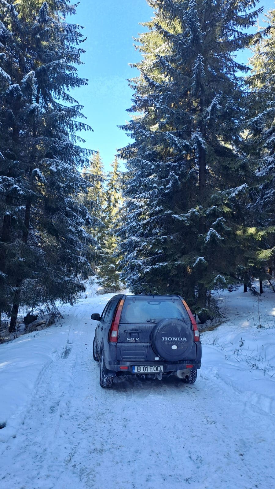 Honda CR-V – fotografia 5 din 7