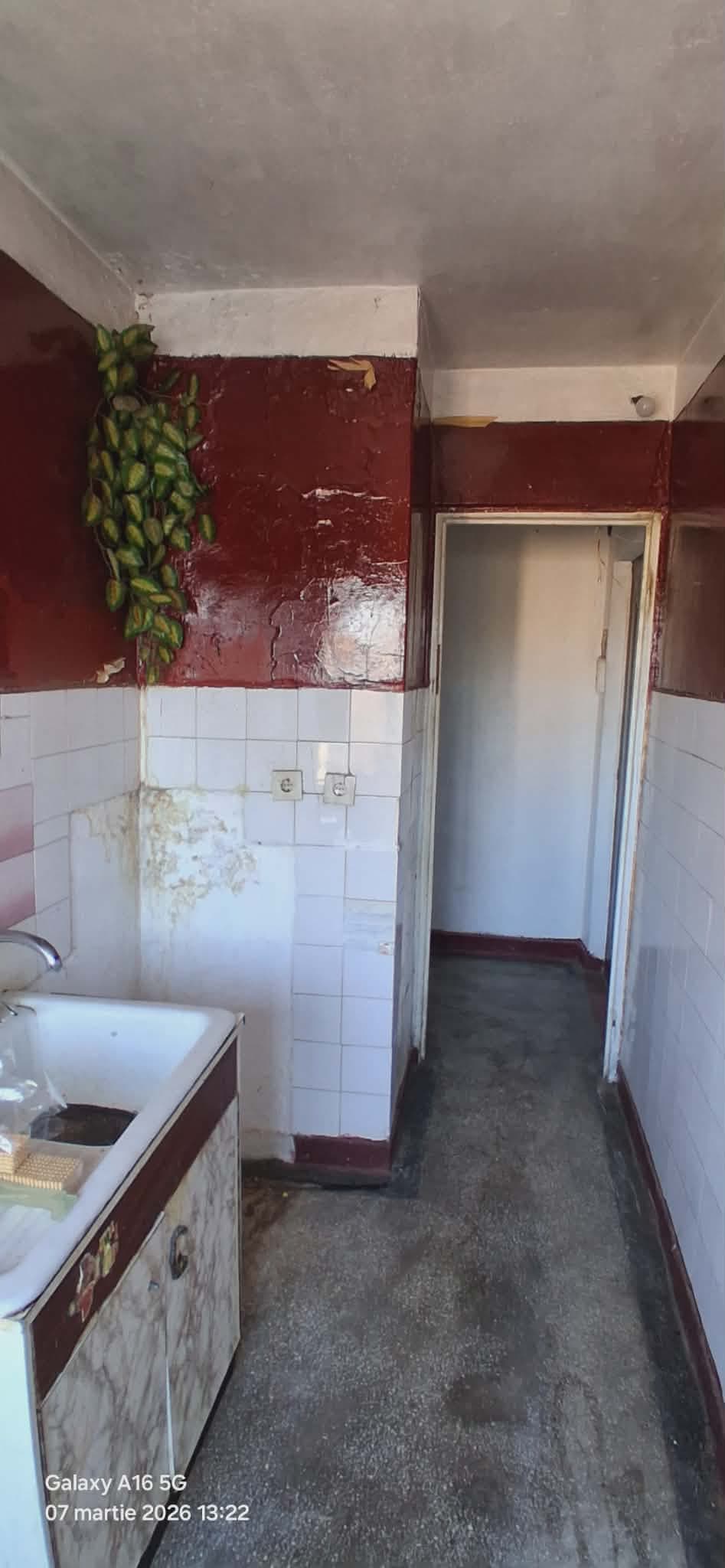 Imobiliare – fotografia 3 din 8