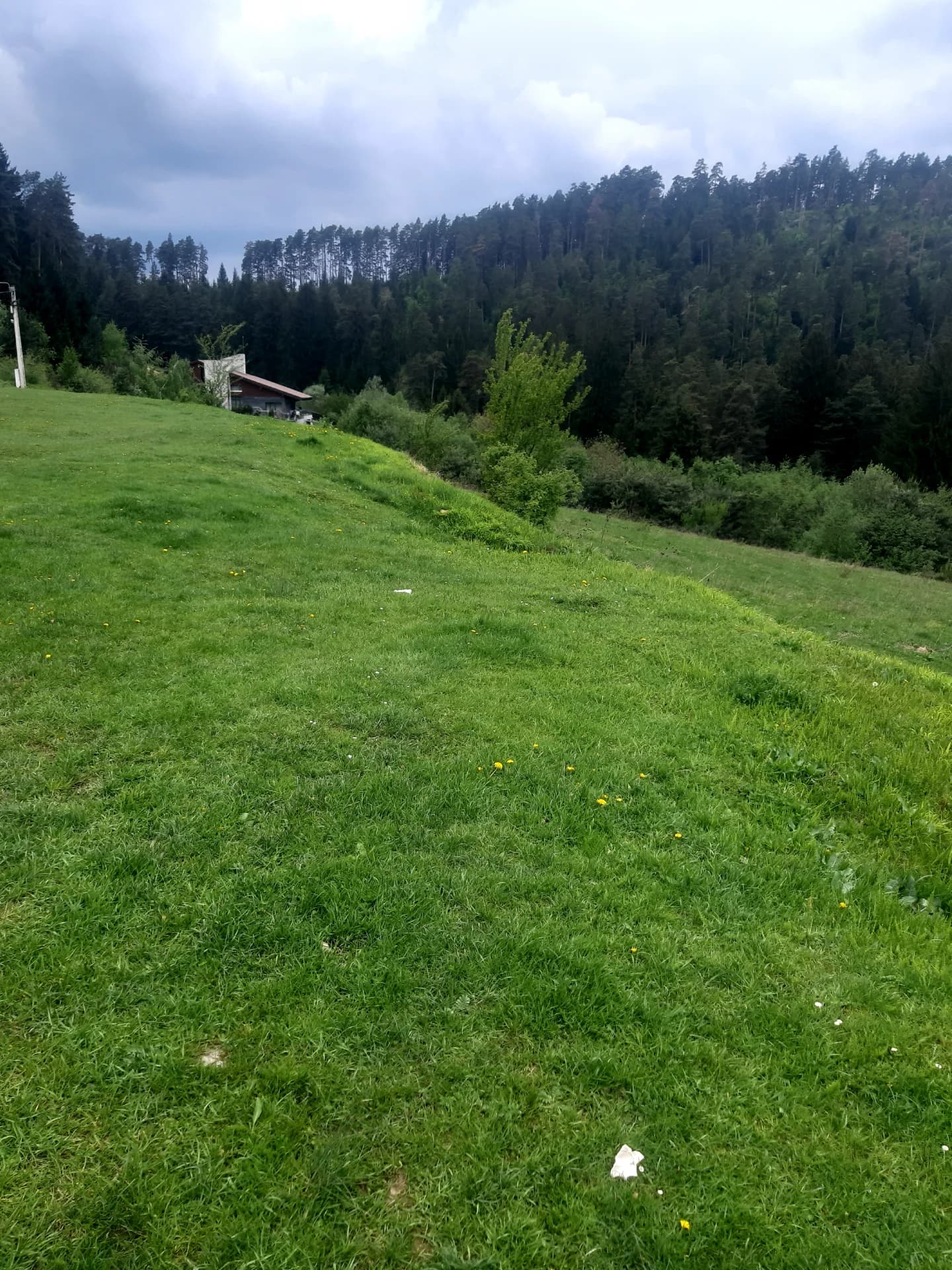 Vând padure – Galati, Galați – Terenuri