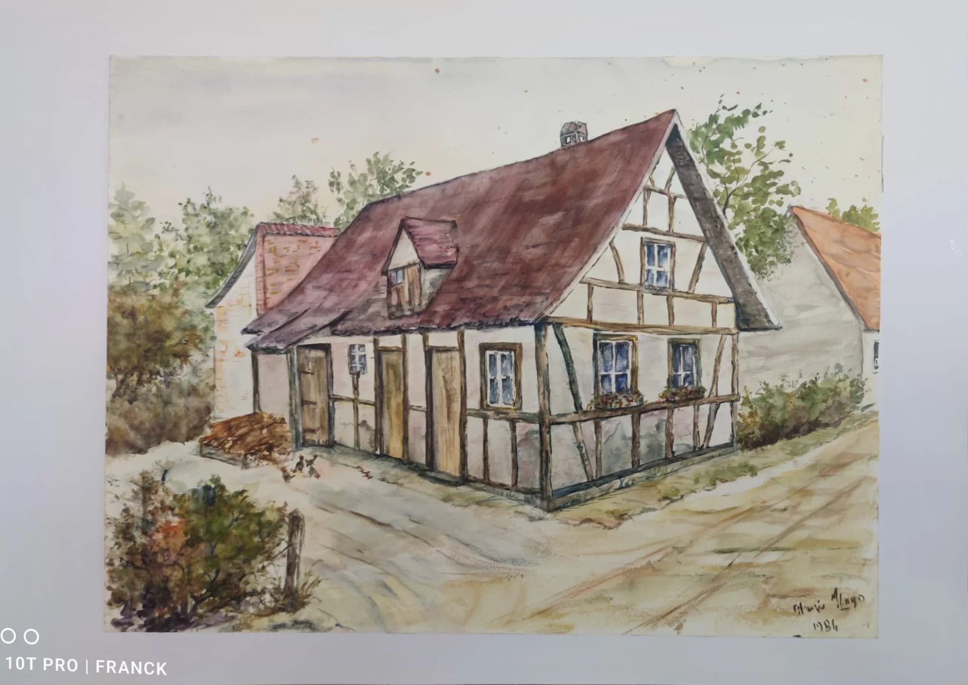 Pictură aquarela semnată