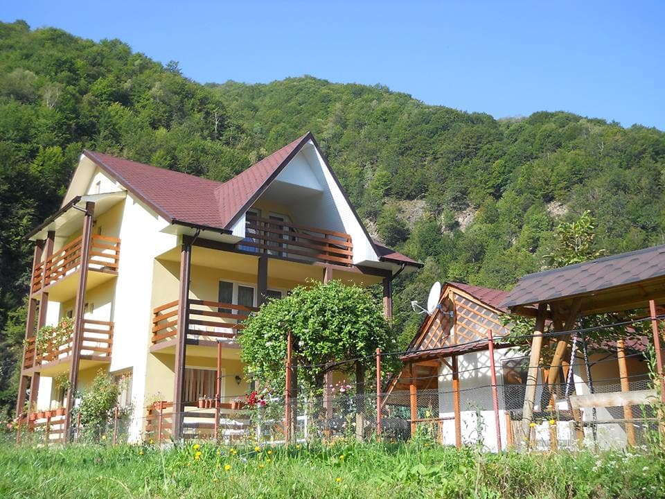 Casa tip vila de vanzare – Malaia, Vâlcea – Case de vânzare