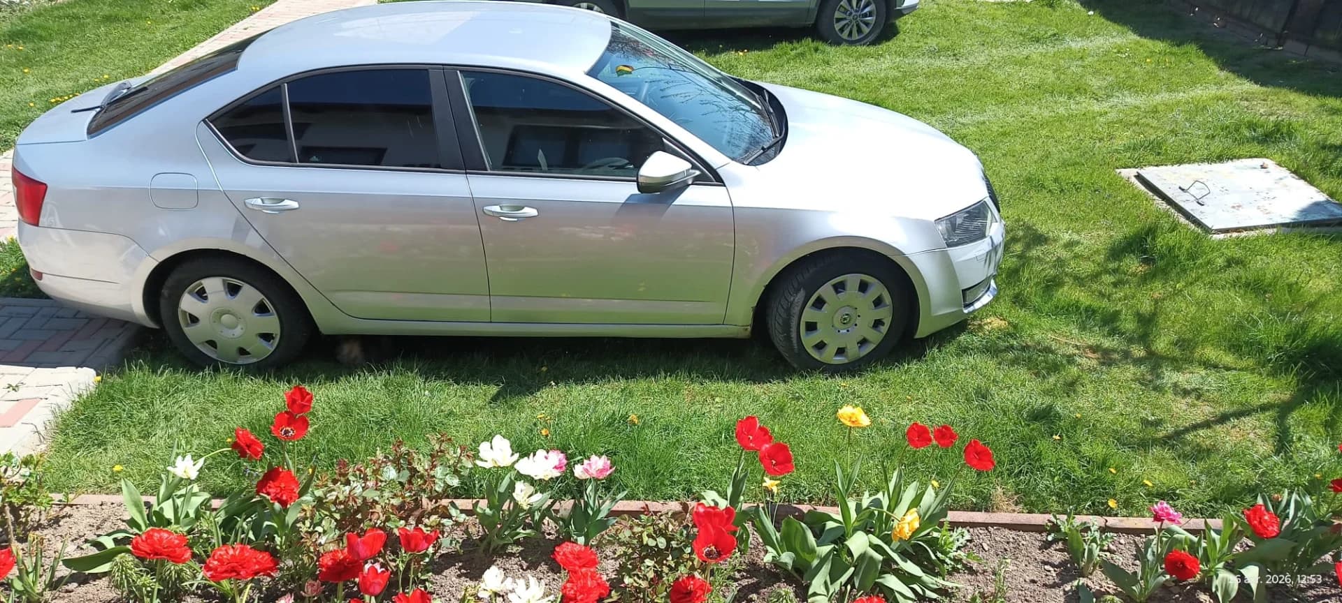 Skoda Octavia 3 – Berivoi, Brașov – Mașini