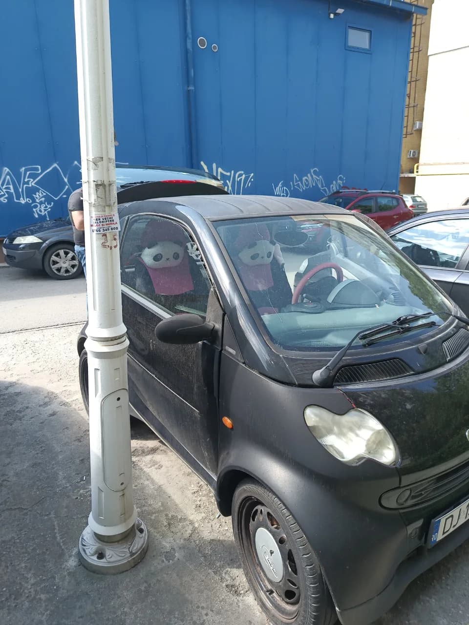 smart acte in regula – fotografia 6 din 7