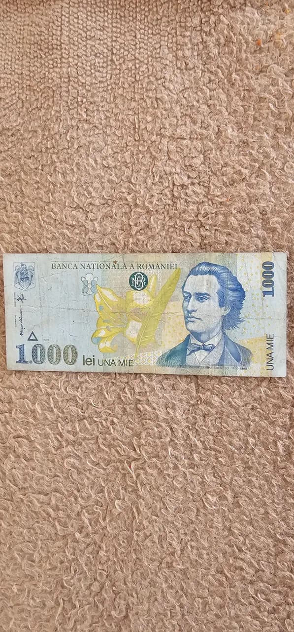 Bancnota 1ooo lei din anul 1998 – Vatra Dornei, Suceava – Hobby-uri