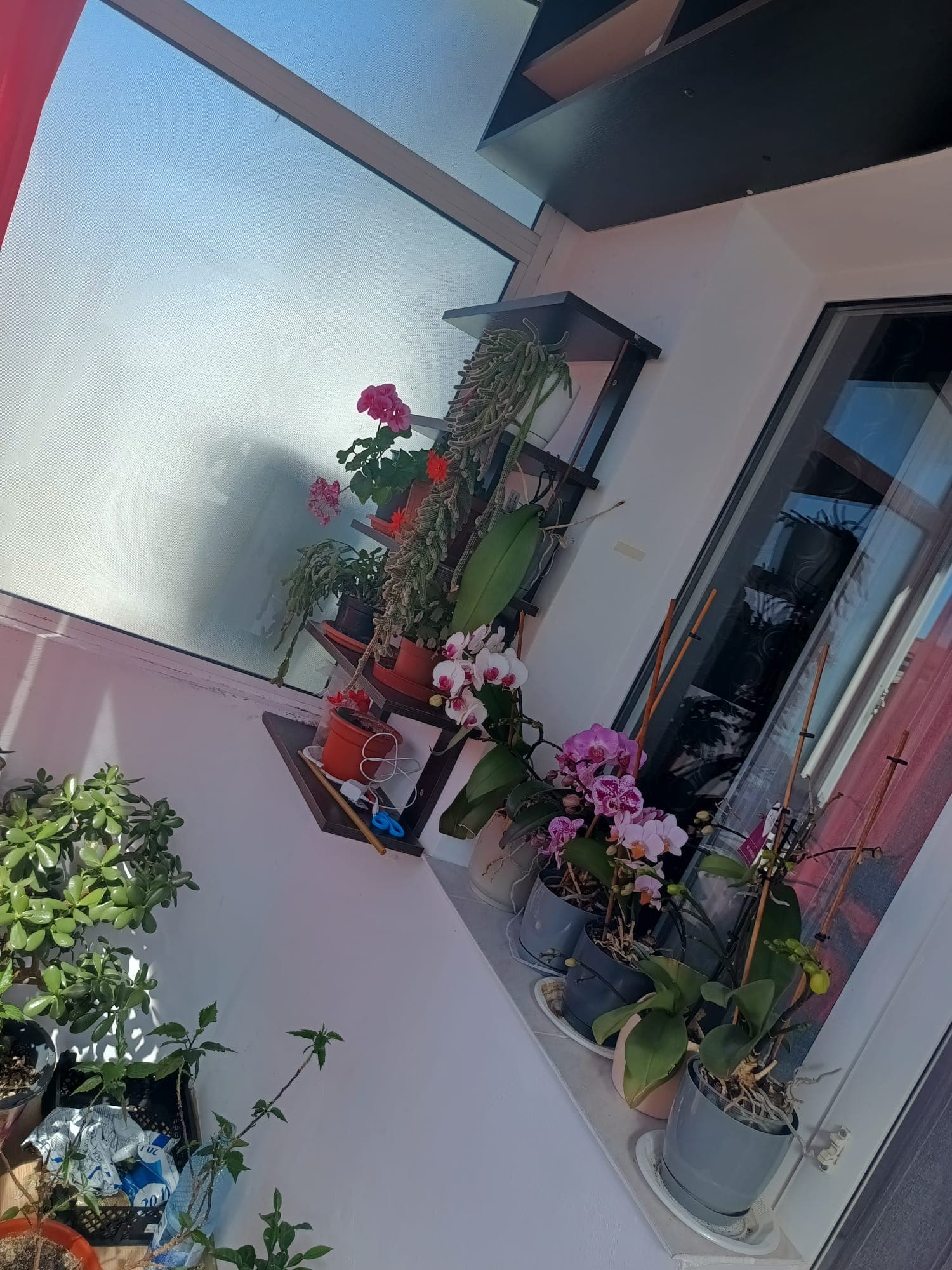 Apartament cu 3 camere – fotografia 6 din 8