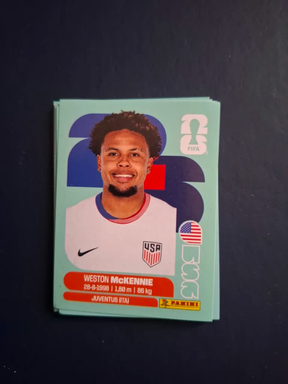 sticker westen mckennie – Craiova, Dolj