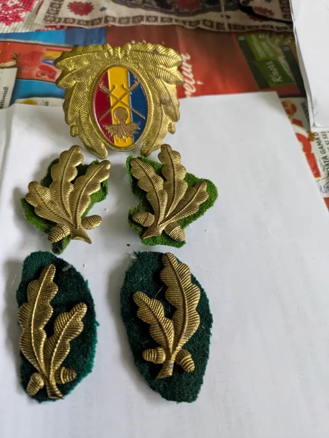 Insemne militare ,insigna +petlite