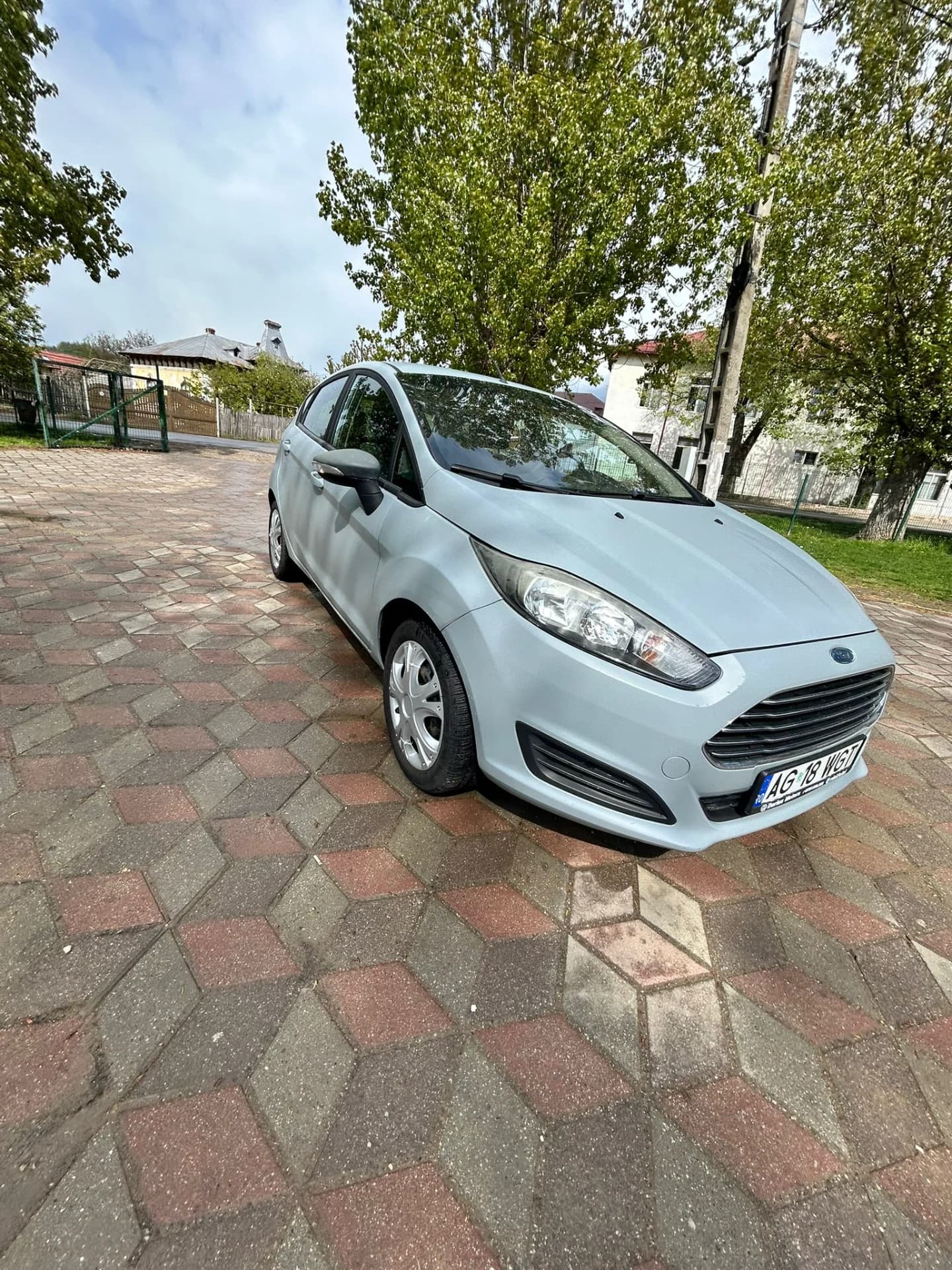 Ford Fiesta 1.5 TDCI – Priboieni, Argeș