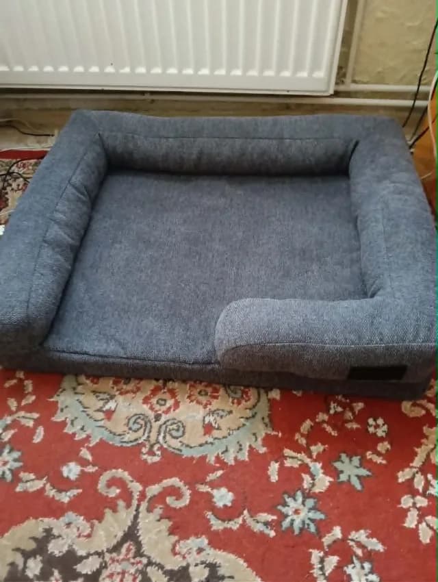 patut pentru catel cu spuma cu memorie