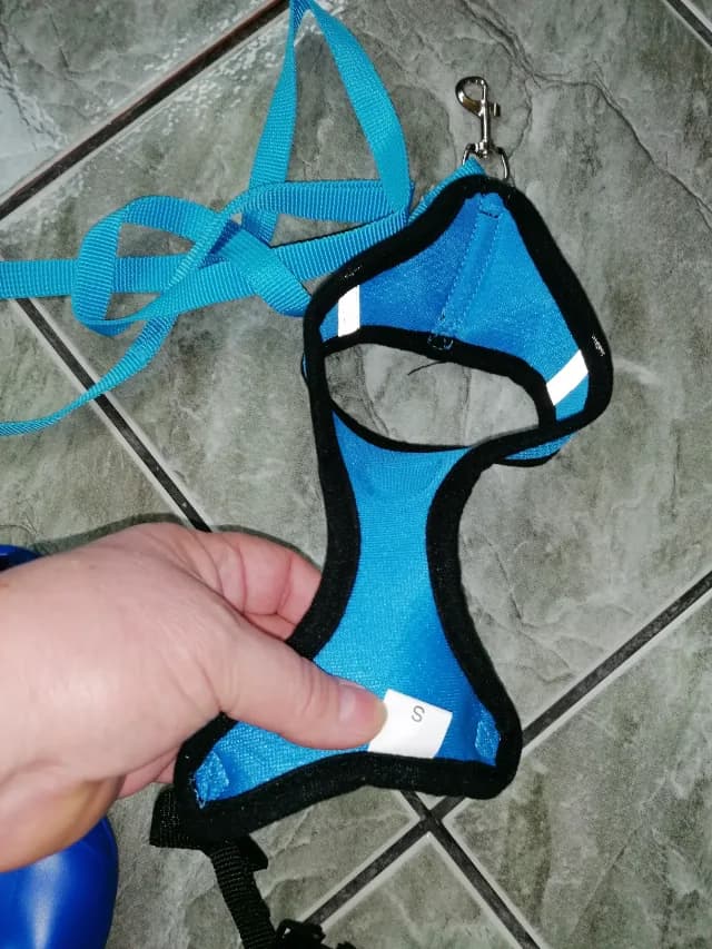 Haine pentru căței