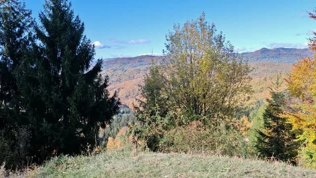 teren intravilan