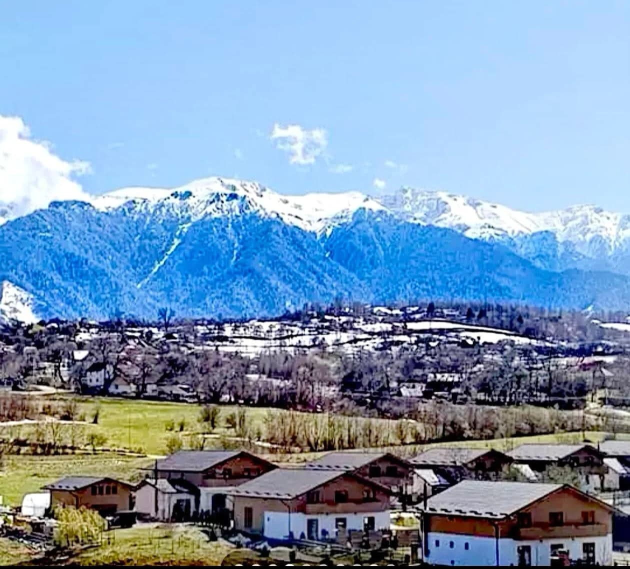 Vânzare ap. 2 camere cu vedere la Munții Bucegi în Bran. – fotografia 3 din 8