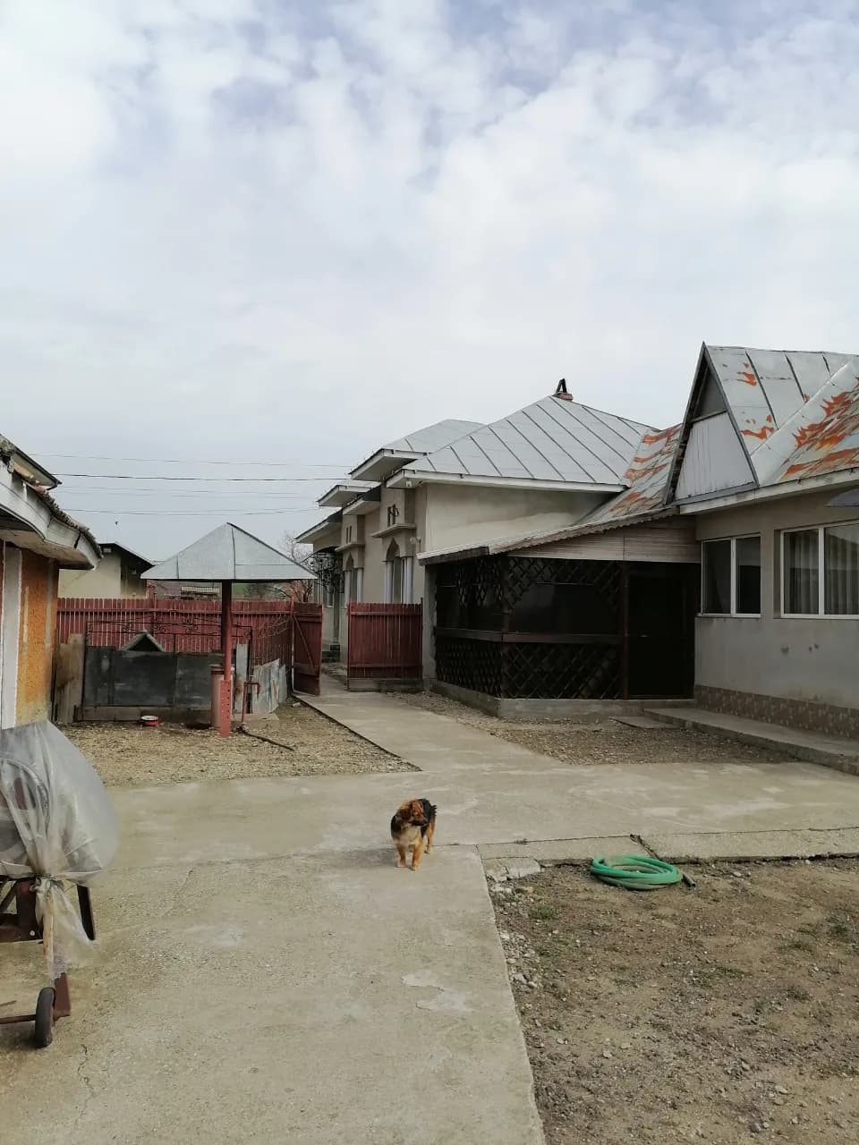 Casă și grădină – fotografia 8 din 8
