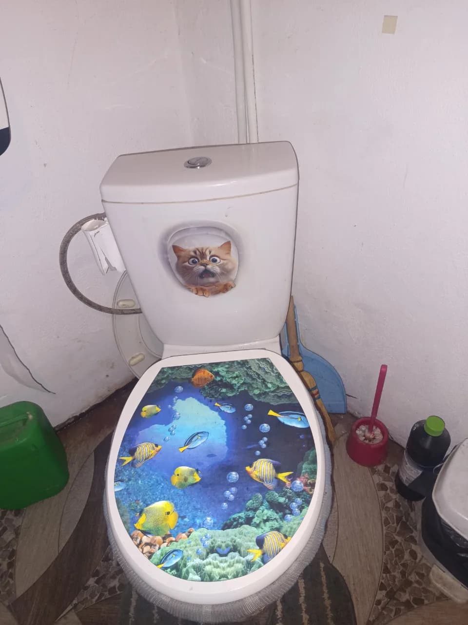cabina dus,chiuveta baie cu dulăpior vas toaleta – fotografia 2 din 3