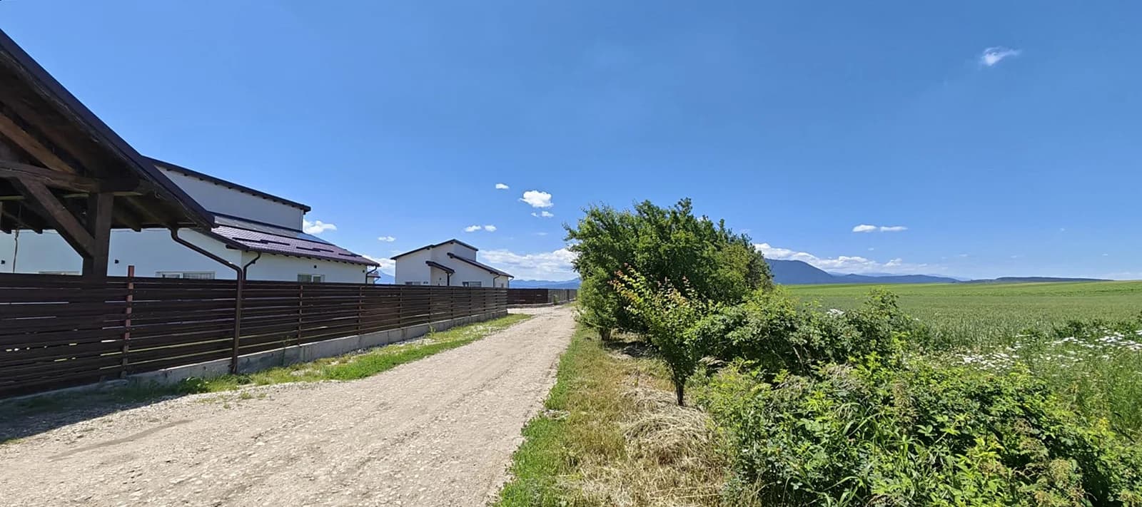 Terenuri de vânzare Hălchiu, Brașov, zonă de case noi.