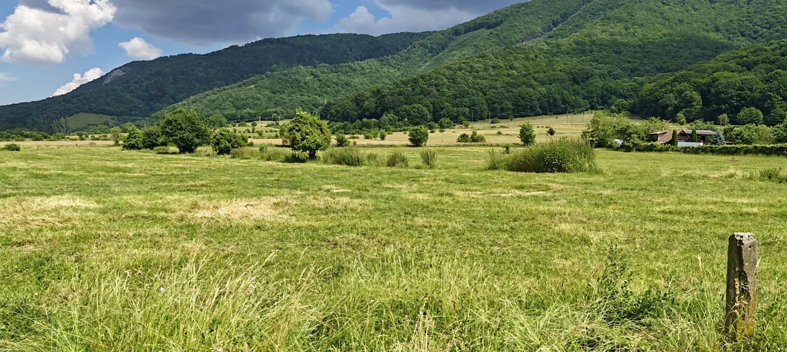 Teren intravilan - padure de agrement - in Brasov.