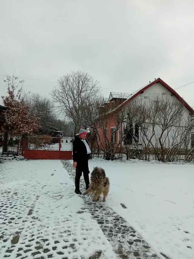Casa de locuit cu spații de închiriat în scop turistic