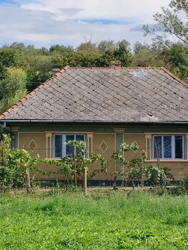 Casă Cehal, jud. Satu Mare, 43 ari teren, anexe, utilități –