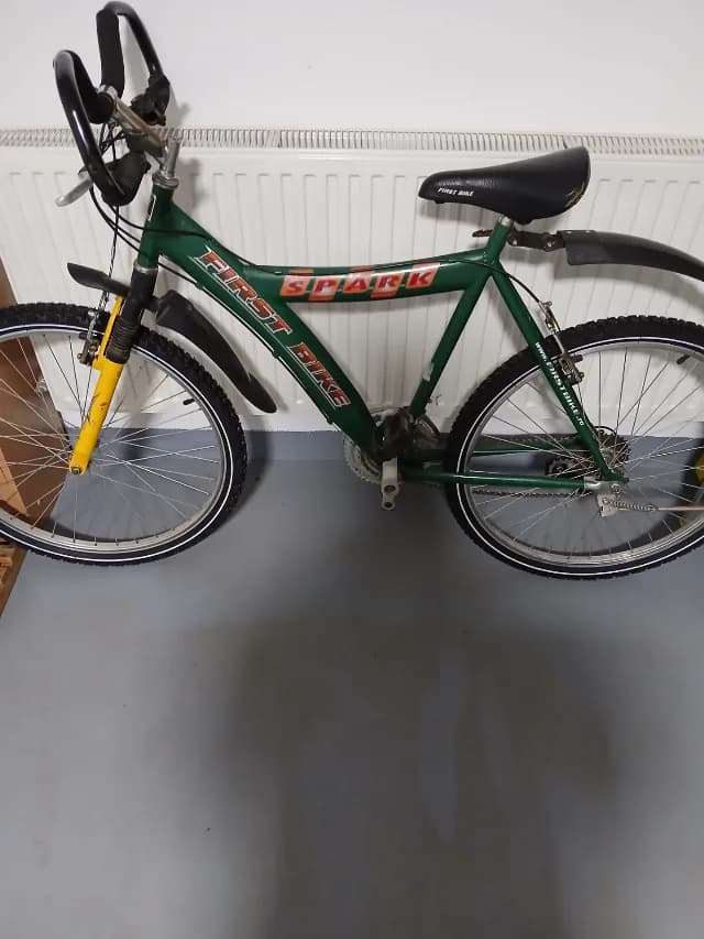 Bicicleta First Bike