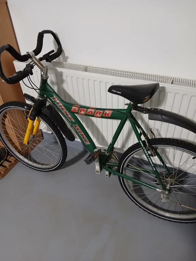 Bicicleta First Bike