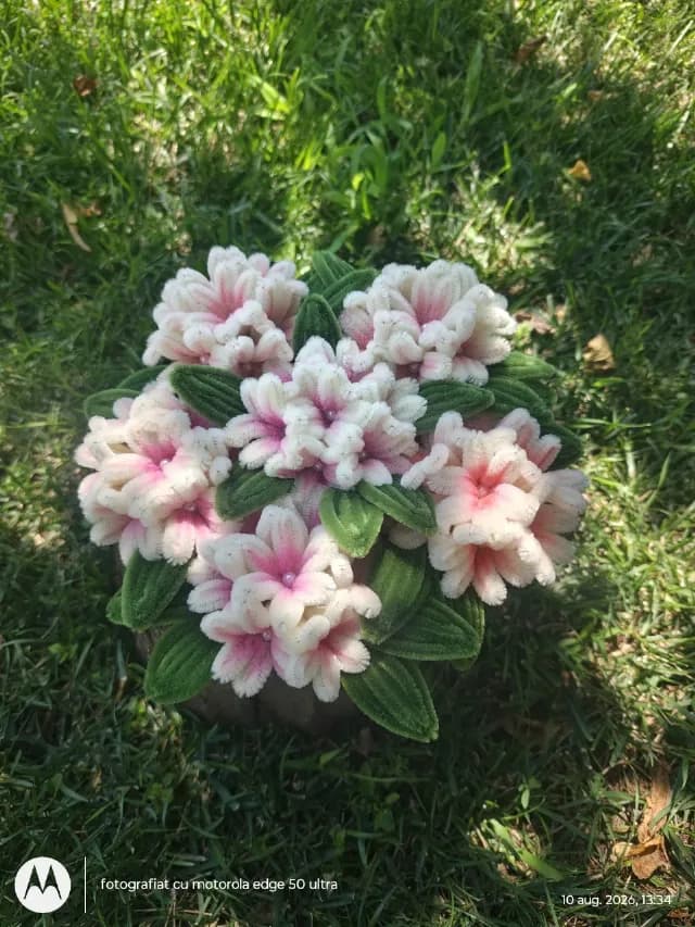 Decorațiune de masa