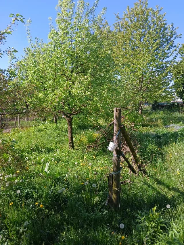 Vand teren intravilan