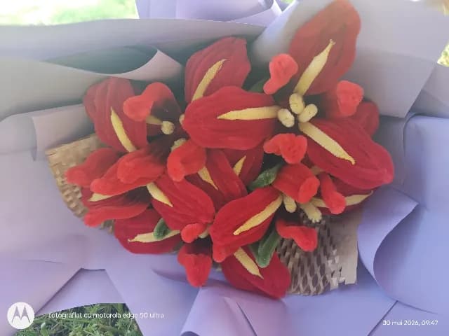 Buchet irisi rosi