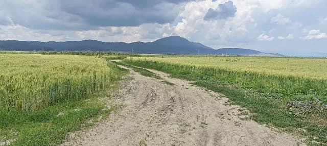 Teren extravilan in Rasnov.