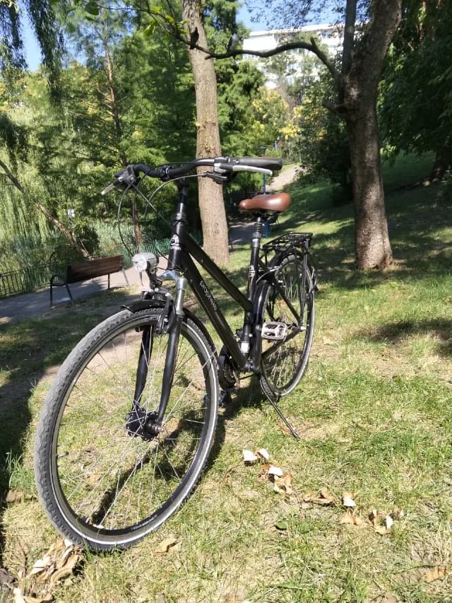 Bicicletă de oraș / trekking Prophete Comfort – Roți 28" – Pregătită de drum!