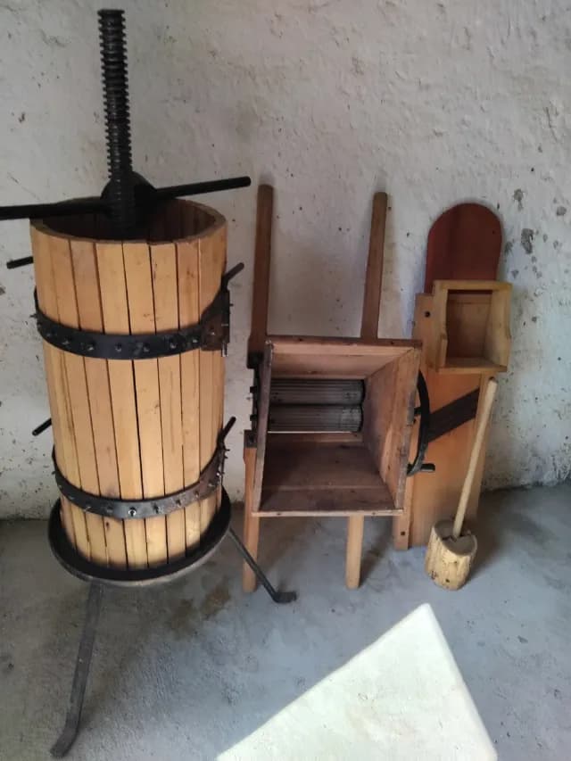 Tocător și presă struguri sau fructe