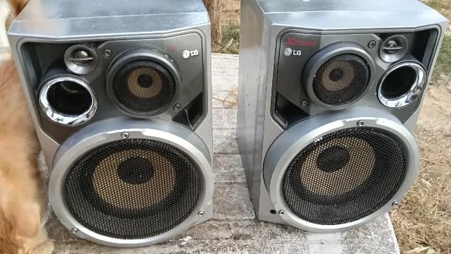 Boxe LG de 200 W pe 6 ohmi