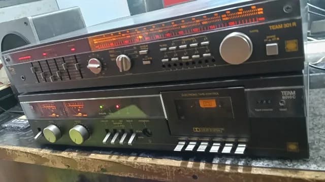Sistem audio Schneider Hi-fi Team 301 R