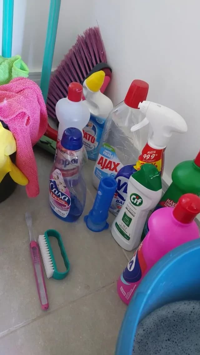 Menajera , servicii de curățenie