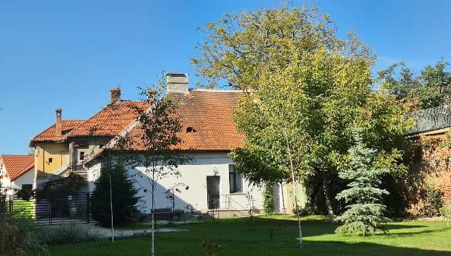 Casă cu două apartamente independente si teren generos.